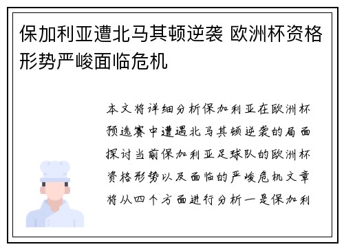 保加利亚遭北马其顿逆袭 欧洲杯资格形势严峻面临危机