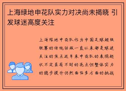 上海绿地申花队实力对决尚未揭晓 引发球迷高度关注